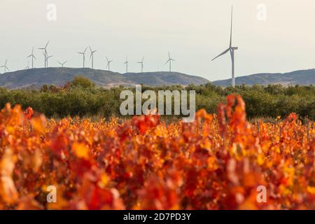 Windräder in der Nähe der Weinberge mit herbstlich roten Blättern in der Region Campo de Borja, in der Nähe der kleinen Stadt Magallon, Aragon, Spanien. Stockfoto