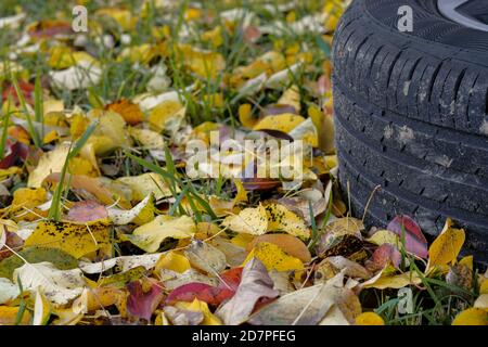 Selektiver Fokus auf die Lauffläche eines Autoreifens, der an einem Herbsttag auf dem Gras liegt. Gelb gefallene Blätter sind verstreut. Saisonaler Reifenwechsel Stockfoto