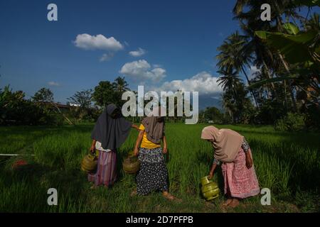 Sonnenkollektoren oder Solarzellen absorbieren Sonnenlicht in Bukittinggi City, Provinz West Sumatra, Indonesien, um Strom zu erzeugen Stockfoto