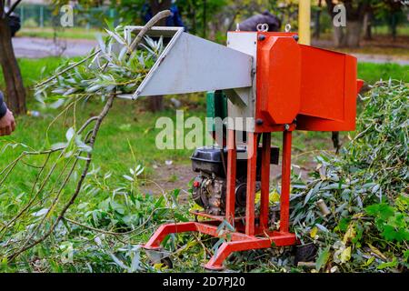 Chopper Instrument Gärtner mit Aktenvernichter tragbare Holzhacker Stockfoto