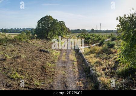 Vegetationsfreiraum bei Verney Junction entlang der Strecke der neuen East West Rail Eisenbahnlinie zwischen Oxford und Bedford. Stockfoto