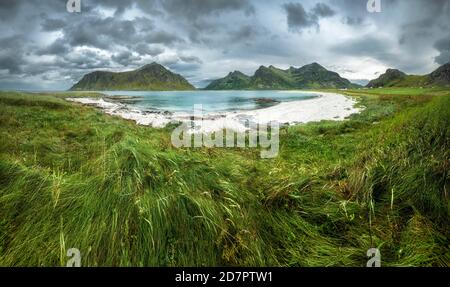 Weißer Sandstrand und üppig grüne Wiese vor grünen Berggipfeln bei Flakstad, Flakstadoy, Ramberg, Lofoten, Nordland, Norwegen Stockfoto