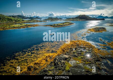 Fjordlandschaft mit kleinen Felseninseln bei Ebbe mit gelben Algen, kleines Holzboot zwischen Inselgruppen im Meer, Lodingen, Nordland Stockfoto