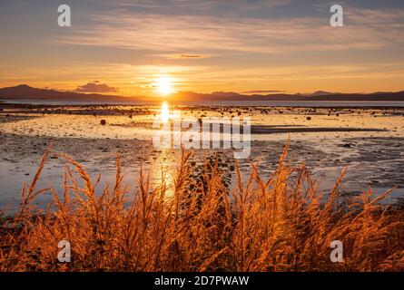 Sonnenuntergang über einem Fjord, Bergkette im Hintergrund, warmes Abendlicht, Mo i Rana, Nordland, Norwegen Stockfoto