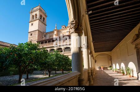 Blick auf den Kirchturm durch Arkaden, Kreuzgang und Innenhof mit Orangenbäumen im Kloster, Monasterio de San Jeronimo, Granada, Andalusien Stockfoto