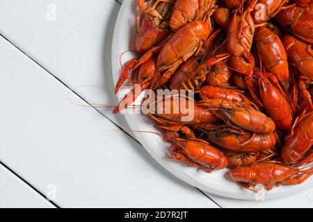 Gekochte Languste auf weißem Hintergrund Stockfoto