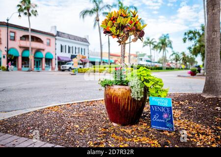 Venedig, USA - 29. April 2018: Melden Sie sich in der kleinen Stadt Floridas im Golf von Mexiko an der Straße an, um Stolz zu Pflanzen Venedig in Blüte und Croton Pflanze Stockfoto