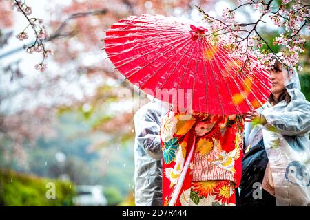 Kyoto, Japan - 10. April 2019: Kirschblüten Sakura Bäume im Frühling Blumen im Garten Park am Fluss und Frau in roten Kimono und Regenschirm mit Menschen Stockfoto