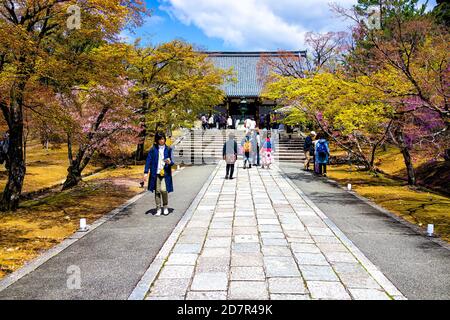 Kyoto, Japan - 10. April 2019: Kirschblüten Blumen Bäume im Frühjahr am Ninna-ji Tempel mit Menschen Touristen zu Fuß Treppen und Tor Stockfoto