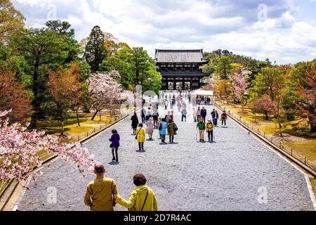 Kyoto, Japan - 10. April 2019: Kirschblüten Sakura Blumen Bäume im Frühling am Ninna-ji Tempel mit Menschen Touristen zu Fuß Treppen und Treppen Stockfoto