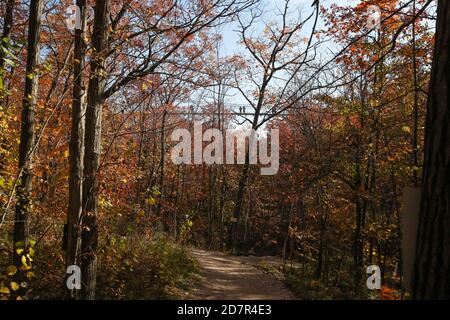 17. Oktober 2020 - Collinwood Ontario Kanada .- Scenic Caves Nature Adventures, längste Hängebrücke im Süden von Ontario. Luke Durda/Alamy Stockfoto