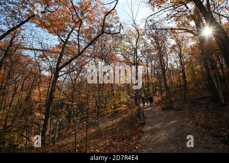 17. Oktober 2020 - Collinwood Ontario Kanada .- Scenic Caves Nature Adventures, längste Hängebrücke im Süden von Ontario. Luke Durda/Alamy Stockfoto