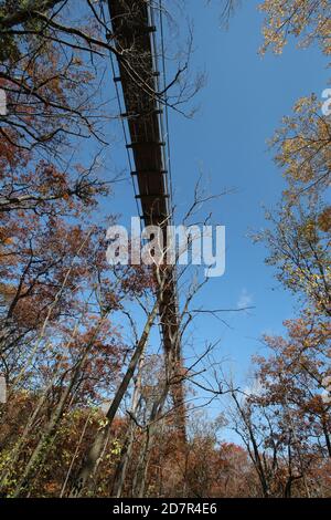 17. Oktober 2020 - Collinwood Ontario Kanada .- Scenic Caves Nature Adventures, längste Hängebrücke im Süden von Ontario. Luke Durda/Alamy Stockfoto