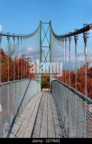 17. Oktober 2020 - Collinwood Ontario Kanada .- Scenic Caves Nature Adventures, längste Hängebrücke im Süden von Ontario. Luke Durda/Alamy Stockfoto