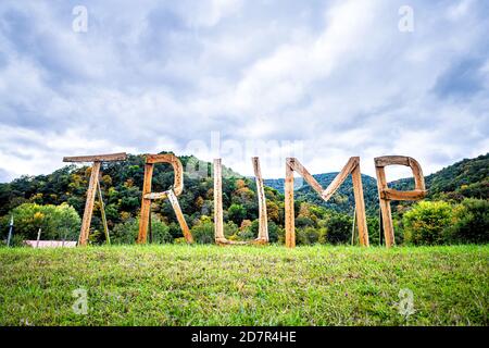 Davis, USA - 5. Oktober 2020: Ländliche Landschaft in West Virginia, Landkreis Tucker mit republikanischem Donald Trump Präsidentschaftswahl Holzschild lette Stockfoto