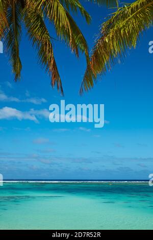 Kokospalmen und Strand, Takitimu District, Rarotonga, Cook Islands, Südpazifik Stockfoto