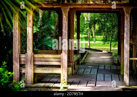 Hölzerne Promenade Pavillon in Sumpf Sumpf in Paynes Prairie Preserve State Park in Gainesville, Florida im Frühjahr oder Sommer mit niemand Stockfoto