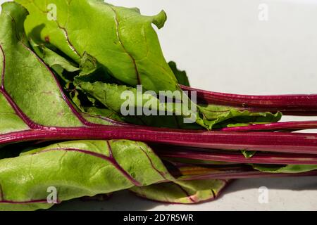 Ein Bund schweizer Mangold und ein paar rohe Rübenblätter. Die grünen Blätter haben violette Adern und Stängel. Stockfoto