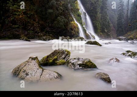 UN-Named Creek fällt über Feature Show Falls und in Boulder River, Boulder River Wilderness, Central Cascades, Washington, USA Stockfoto