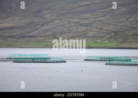 Djupivogur, Island Gebiet mit Fischernetzen in Wasserbucht Fjord Farm im östlichen Land im Sommer Stockfoto