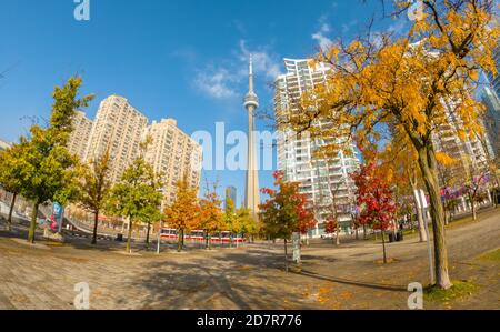 Toronto Harbourfront mit schönen Herbstblättern Farben, und CN Tower im Hintergrund Stockfoto