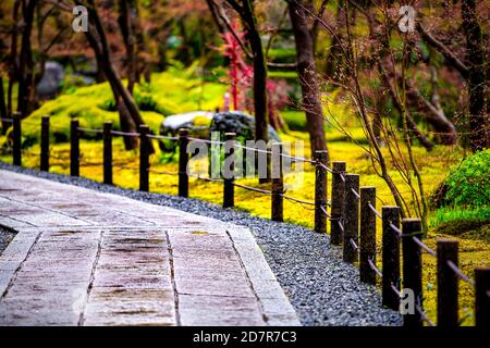 Kyoto, Japan Eikando Tempel Schrein und Moos Garten im Frühjahr mit grüner Farbe und leere Straße Weg Zaun mit niemand Stockfoto