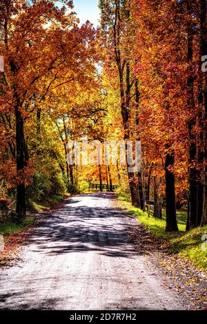 Straße Schotter Feldweg während orange roten Herbst in ländlichen Landschaft im Norden von Virginia mit Bäumen säumen Pfad in vibrierenden Laub Nachbarschaft Stockfoto