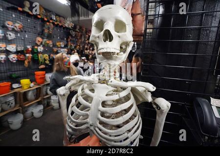 St. Louis, Usa. Okt. 2020. Am Samstag, den 24. Oktober 2020, steht ein großes Laborskelett für Halloween im Johnnie Brock's Dungeon in St. Louis zum Verkauf. Foto von Bill Greenblatt/UPI Kredit: UPI/Alamy Live News Stockfoto