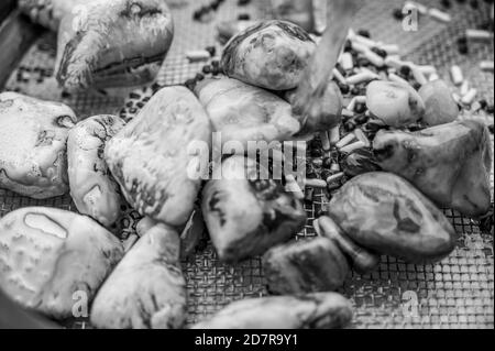 Letzter Schritt bei der Reinigung polierter Steine - gemeinsames Hobby Stockfoto