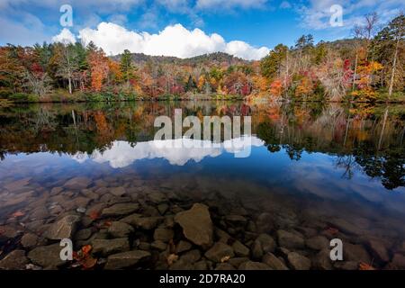 Herbstfarbspiegelungen am Straus Lake - Brevard, North Carolina, USA Stockfoto
