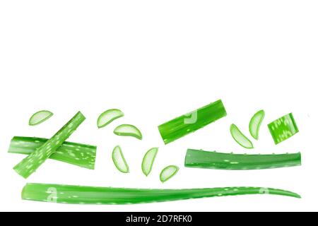 Aloe Vera mit Slices auf weißem Hintergrund. Ansicht von oben. Flach. Stockfoto