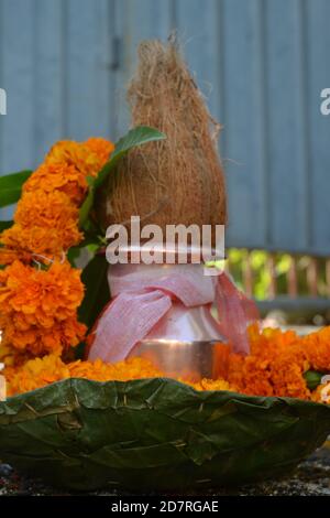 Ringelblumen. Bildort: Kathmandu, Nepal Stockfoto