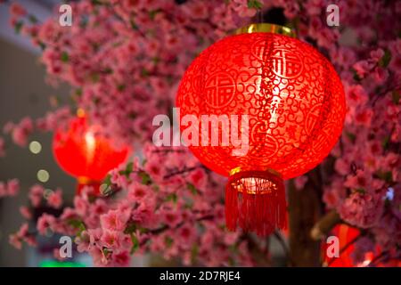 Chinesische Rote Laterne als neues Jahr Symbol. Lunar holiday Konzept. Close Up. Stockfoto