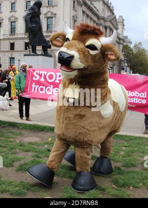 London, Großbritannien. Okt. 2020. Eine Pantomime-Kuh, die während des Protestes auf dem Parliament Square gesehen wurde.Stoppt Trump, stoppt den Post-Brexit-Trade-Deal-Protest auf dem Parliament Square. Maßnahmen gegen die dauerhafte Öffnung des NHS für amerikanische Gesundheitsunternehmen. Chloriertes Huhn UND Hormon-geschnürtes Rindfleisch und Senkung der Lebensmittelstandards. Dazu kommt die erzwungene Deregulierung der Umweltgesetze und unserer Rechte auf Datenschutz. Kredit: SOPA Images Limited/Alamy Live Nachrichten Stockfoto