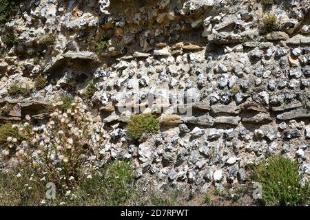 Silchester Roman City Walls, Silchester, Hampshire, Großbritannien Stockfoto