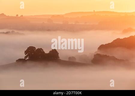 Sonnenaufgang über dem Blackmore Vale von Cadbury Castle, South Cadbury, Somerset, England, Großbritannien Stockfoto