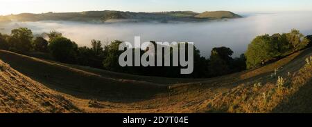 Nebel durch das Blackmore Vale von Cadbury Castle in Richtung Parrock Hill und Beacon, South Cadbury, Somerset, England, Großbritannien Stockfoto