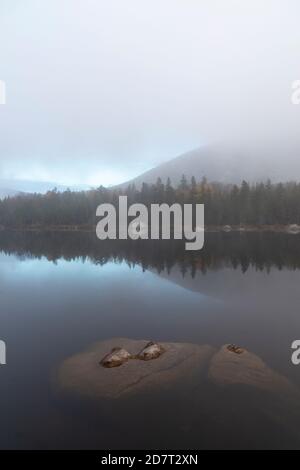 Nebliger Sonnenaufgang am Sandy Stream Pond im Oktober, Baxter State Park, Maine Stockfoto