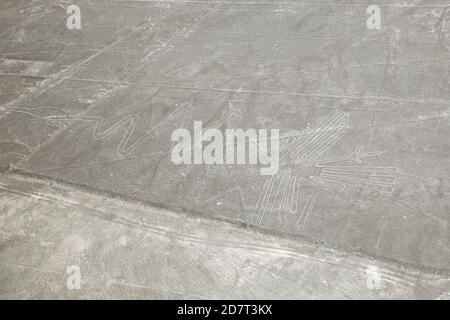 Luftaufnahme von Nazca geoglyph der Reiher. Nazca, Peru. Stockfoto