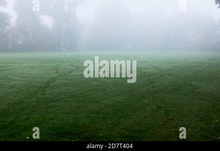 Zwei Sätze Fußabdrücke auf Gras an nassem, nebligen Morgen. Vollformat, Kopierbereich, horizontale Komposition. Stockfoto