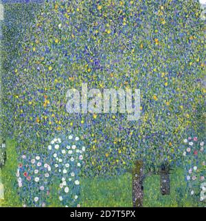 Titel: Rosen unter den Bäumen Ersteller: Gustav Klimt Datum: ca. 1905 Medium: Öl auf Leinwand Maße: 110 x 110 cm Ort: Musée d'Orsay, Paris Stockfoto