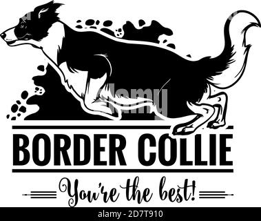 Border Collie im Sprung - Vektor-Illustration für T-Shirt, Logo und Vorlage Abzeichen Stock Vektor