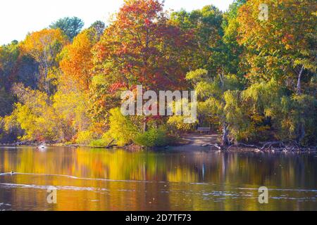 Herbstfarben spiegeln sich in den Gewässern eines New England Parks, USA Stockfoto