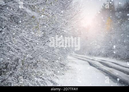 Winter Straße durch den Wald Stockfoto