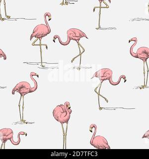 Tropisches Nahtmuster. Rosa Flamingo auf weißem Hintergrund. Vektorfarbe handgezeichnete Skizze Illustration. Sommerliches Stoffdesign, Geschenkpapier, Trend Stock Vektor