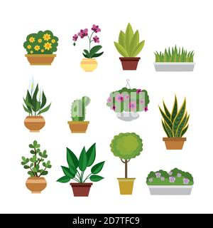 Set aus verschiedenen Blumen in Töpfen und Pflanzen, isoliert auf weiß ba Stock Vektor
