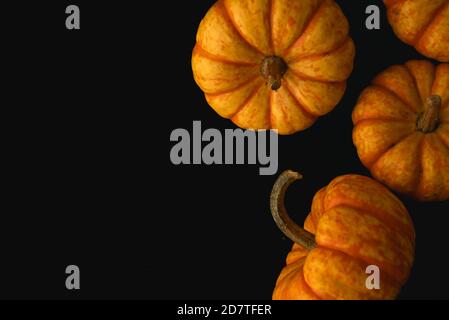 Kleine Hooligan orange und gelb Kürbis Makro Nahaufnahme, selektiver Fokus Stockfoto