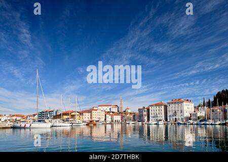 Piran Hafen, Piran, Primorska, Adria, Slowenien Stockfoto