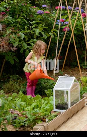 Drei Jahre altes Mädchen, das Pflanzen im Garten wässert. Stockfoto