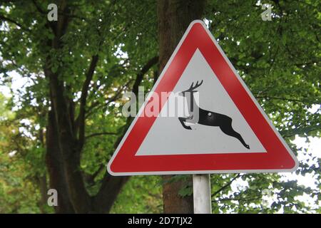 Ein Verkehrsschild mit einem Hirsch warnt Verkehrssteilnehmer vor einem Wildwechsel in Brandenburg. Stockfoto